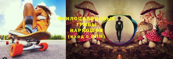 спайс Мегион